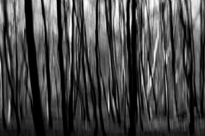 Impenetrable (01)